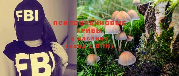 дмт Абинск