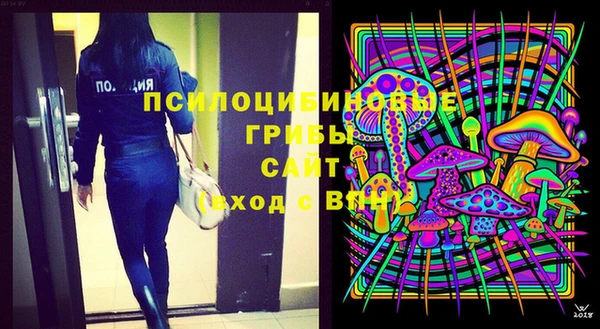 круглые Алзамай