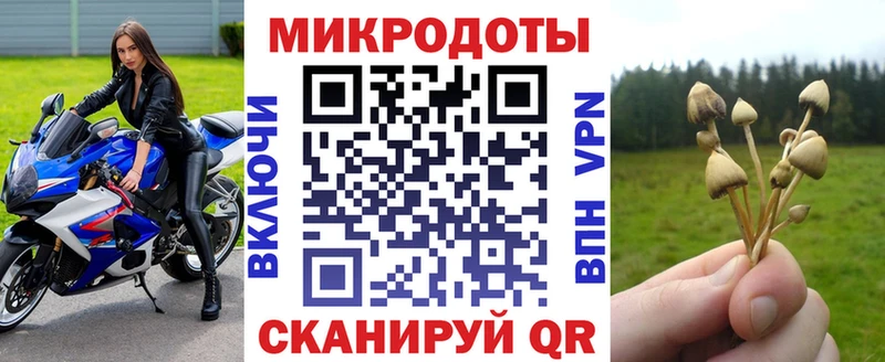 что такое Бобров Галлюциногенные грибы Psilocybine cubensis